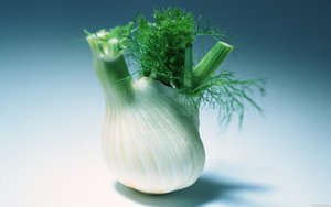 年度科技排行：最佳便携式投影仪推荐